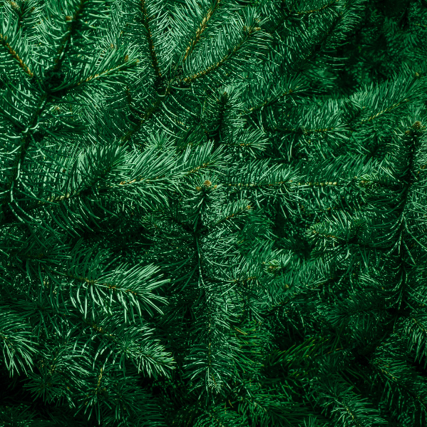 Imagebild für die Weihnachtskollektion von TREND Kollektiv