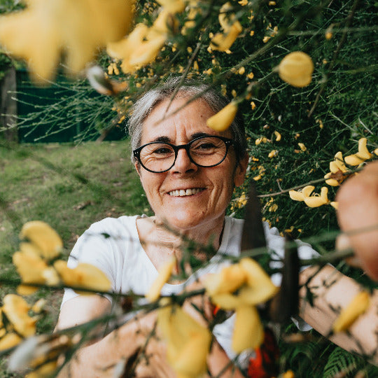 Alte Frau lacht durch einen blühenden gelben Strauch im Garten